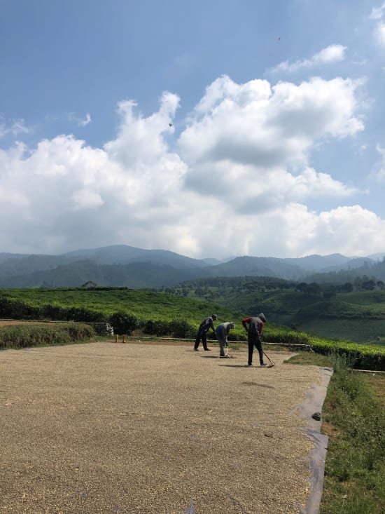Java Sunda Badak